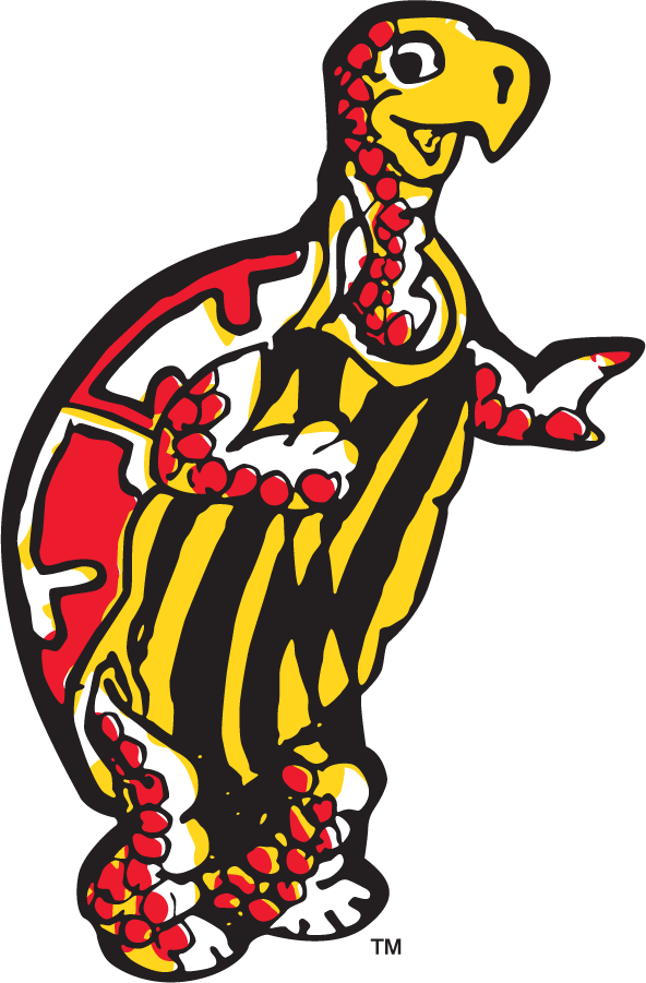 Maryland Terrapins 1953 Secondary Logo DIY iron on transfer (heat transfer)